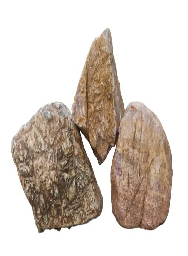 Maalavya Rocks for Reef Tank Setup Aquarium Decoration Garden Décor Planted Tanks ETC (Millennium Rock,7 KG) - Image 2